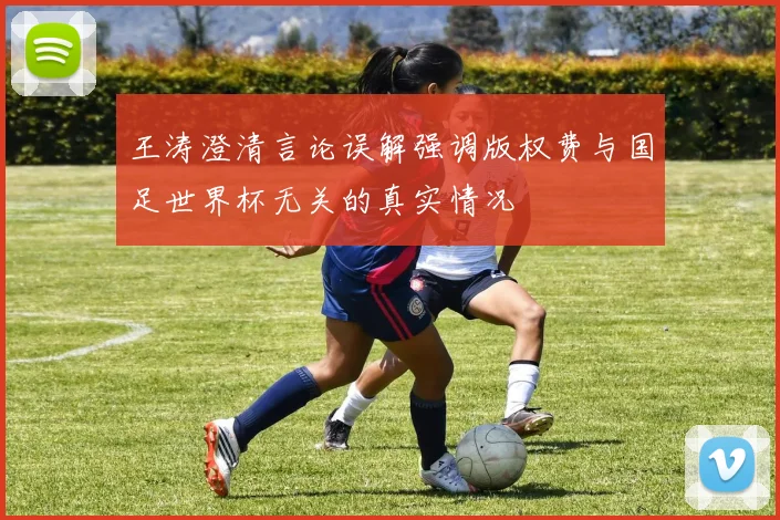 王涛澄清言论误解强调版权费与国足世界杯无关的真实情况