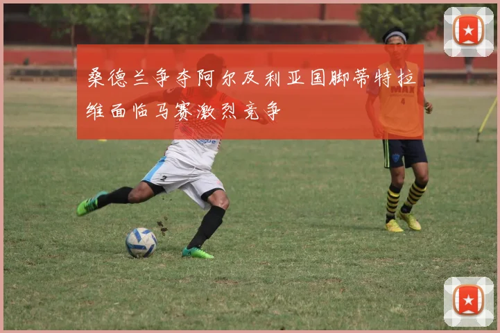 桑德兰争夺阿尔及利亚国脚蒂特拉维面临马赛激烈竞争