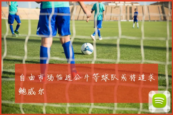 自由市场临近公牛等球队或将追求鲍威尔